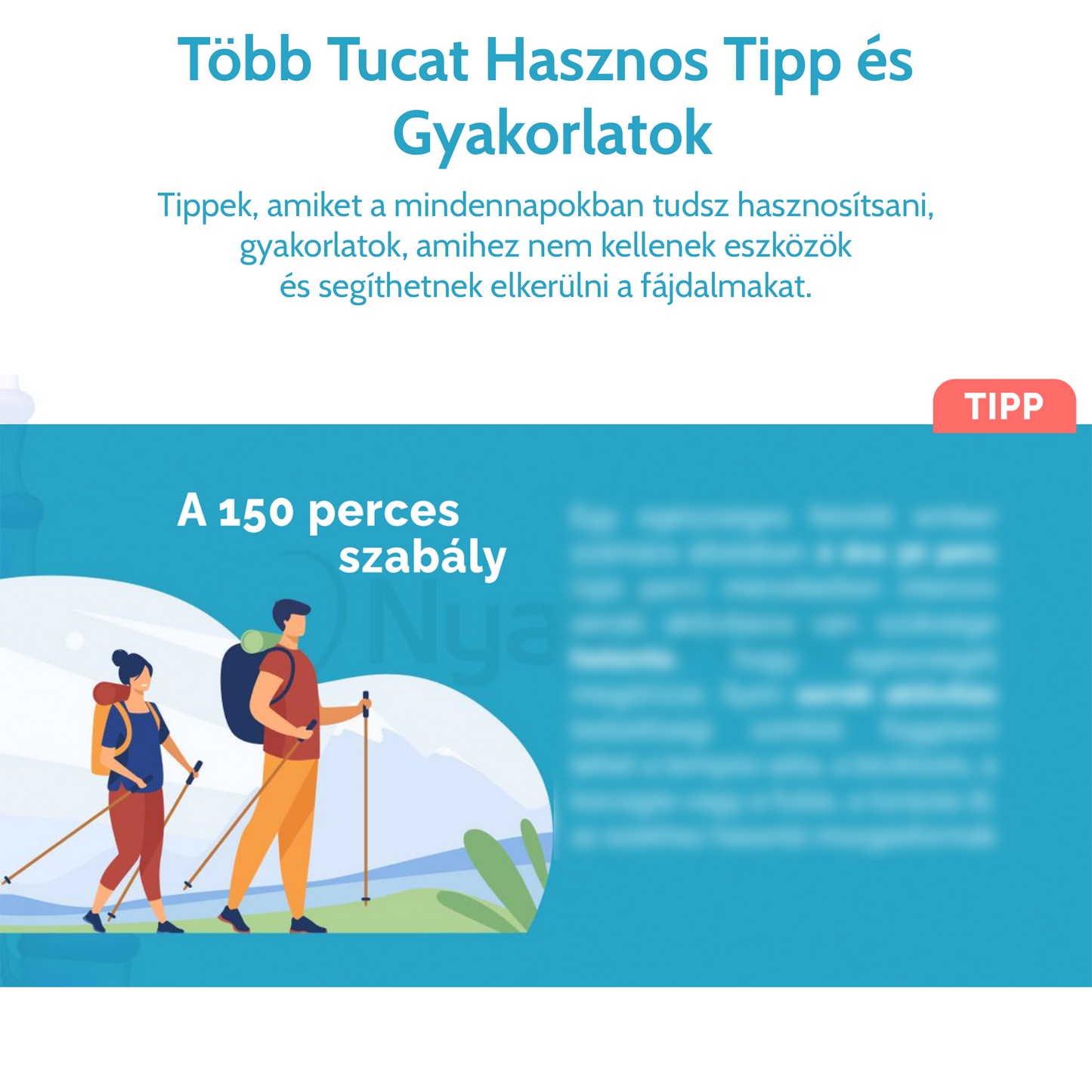 Nyakig az Egészségben: NyakDoki Ebook Hát- és Nyakfájdalom Ellen